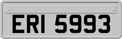 ERI5993