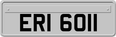 ERI6011