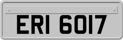 ERI6017