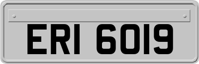 ERI6019