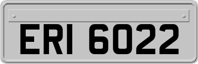 ERI6022