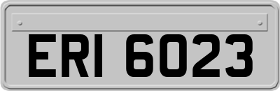 ERI6023