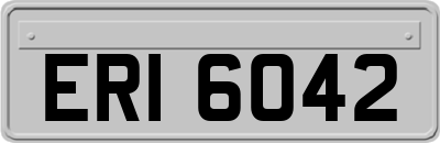 ERI6042