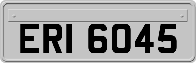 ERI6045