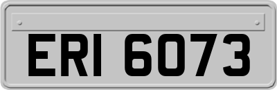 ERI6073