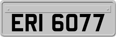ERI6077