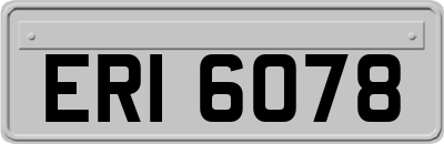 ERI6078