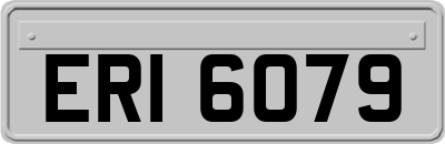 ERI6079