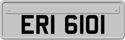 ERI6101