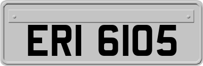 ERI6105
