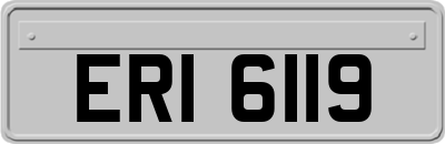 ERI6119