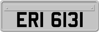 ERI6131