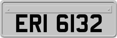ERI6132