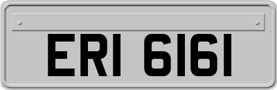 ERI6161