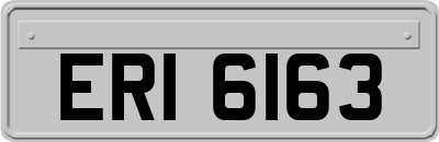 ERI6163
