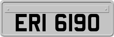 ERI6190