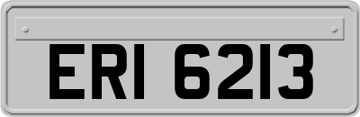 ERI6213