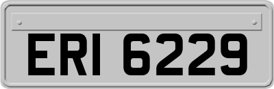 ERI6229
