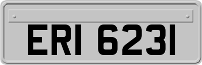 ERI6231