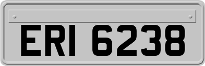 ERI6238