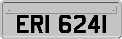 ERI6241