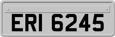 ERI6245