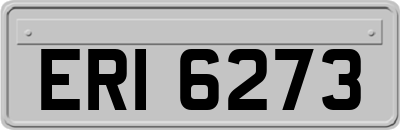 ERI6273