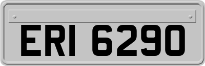 ERI6290