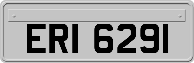 ERI6291