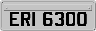ERI6300