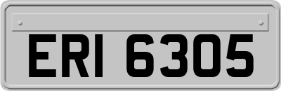 ERI6305