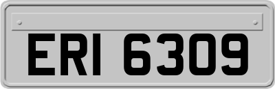 ERI6309