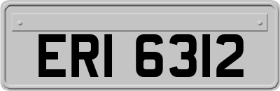 ERI6312