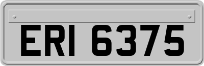 ERI6375