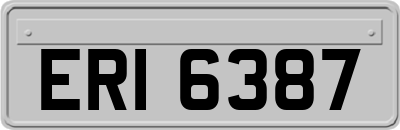 ERI6387