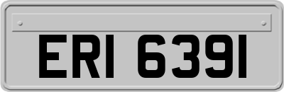 ERI6391