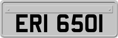 ERI6501
