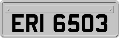 ERI6503