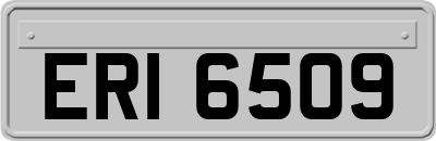 ERI6509