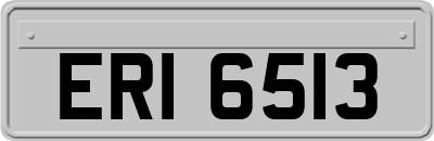 ERI6513