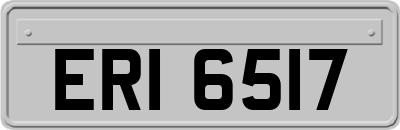 ERI6517