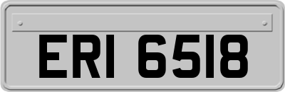 ERI6518