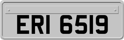 ERI6519