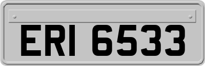 ERI6533
