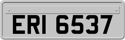 ERI6537