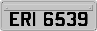 ERI6539