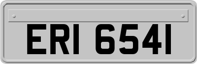 ERI6541