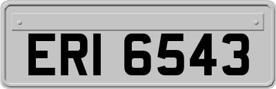 ERI6543