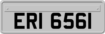 ERI6561