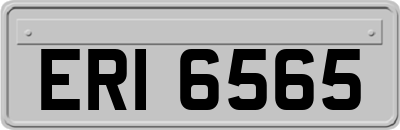 ERI6565